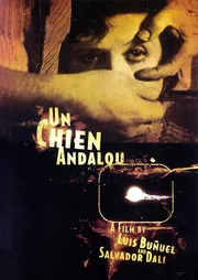 Um Cão Andaluz poster